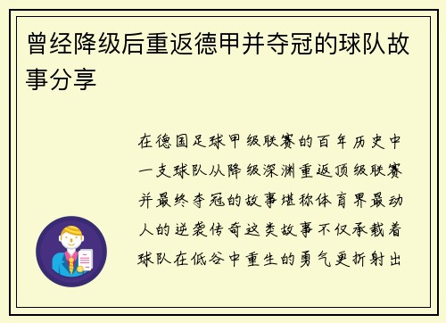 曾经降级后重返德甲并夺冠的球队故事分享